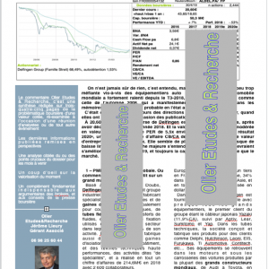 Delfingen Industry : comment réussir en étant petit sur un grand marché (: l'automobile)