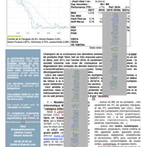 Groupe LDLC : recovery ?